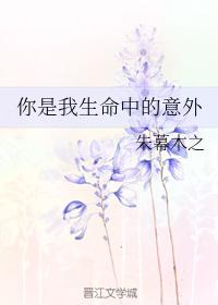 你是我生命中的意外