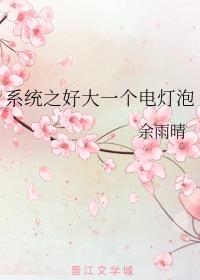 系統之我不是電燈泡嗎？