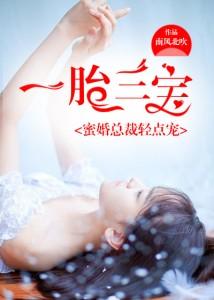 一胎三寶，蜜婚總裁輕點寵