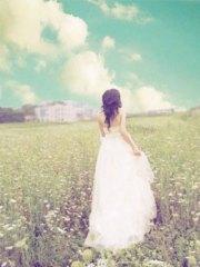 遲遙不及相思宋瑤顧辭遠