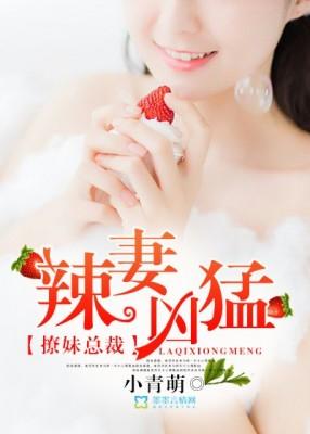 撩妹總裁：辣妻兇猛