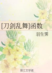 [刀劍亂舞]函數