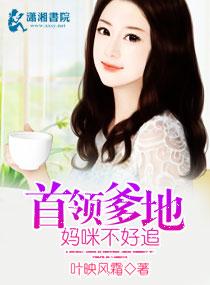 首領爹地，媽咪不好追