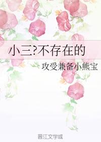 小三？不存在的
