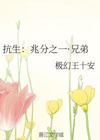 抗生：兆分之一·兄弟