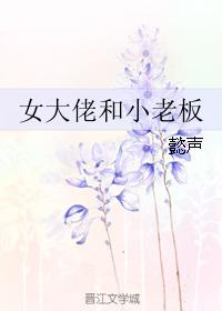 女大佬和小老板