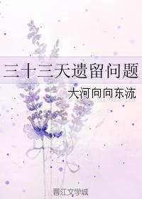 三十三天遺留問題