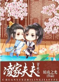 穿越之淩家夫夫