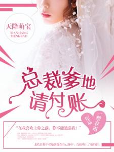 天降萌寶：總裁爹地，請付賬