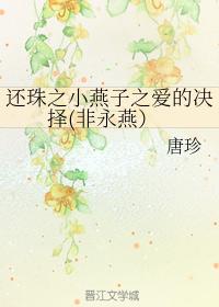 還珠之小燕子之愛的決擇（非永燕）