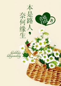 （穿書）本是路人，奈何緣生