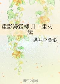重影漫霜樓 月上重火續