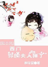 [陸小鳳]西門你的夫人掉了