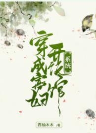 穿成寡婦開飯館（系統）