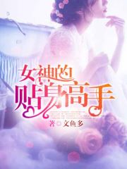 女神的貼身高手陳揚蘇晴