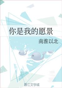 你是我的願景