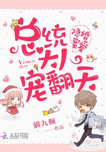 隐婚蜜愛：總統大人，寵翻天！