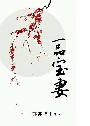 一品寶妻