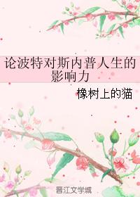 論波特對斯內普人生的影響力