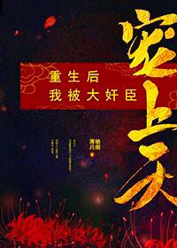 重生後我被大奸臣寵上天
