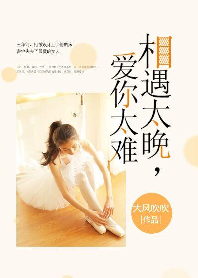 相遇太晚，愛你太難