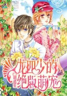 龍四少的絕版萌寵