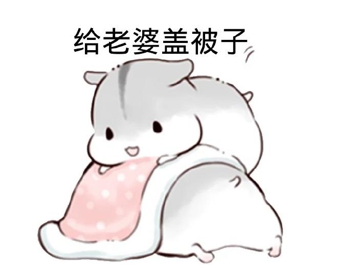 淺談一個寫手的自我修養