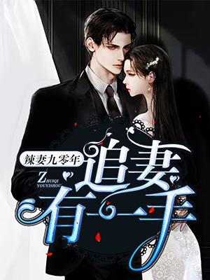 辣妻九零年：追妻有一手