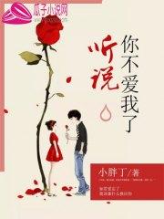 聽說你不愛我了葉朝歌陸宸