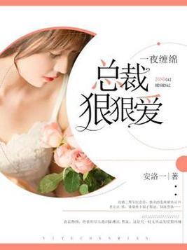 一夜纏綿總裁狠狠愛