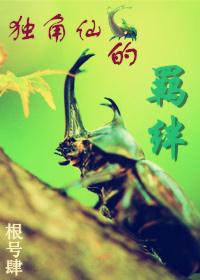 獨角仙的羁絆