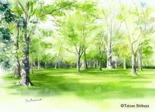 時光深處溫暖我