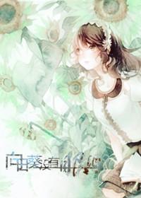 向日葵沒有眼淚