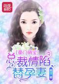 豪門萌寶：總裁情陷替孕妻焦娅晴盛智宇