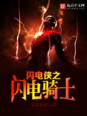 閃電俠之閃電騎士