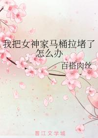 我把女神家馬桶拉堵了怎麽辦