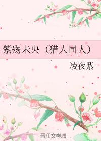 紫殇未央（獵人同人）