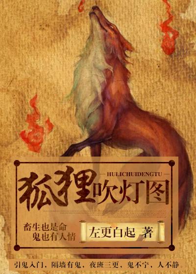 狐貍吹燈圖