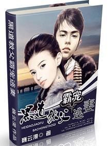 黑道教父霸寵逃妻