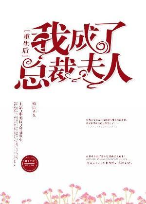 重生後我成了總裁夫人
