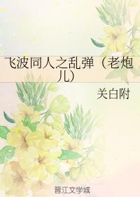 飛波同人之亂彈