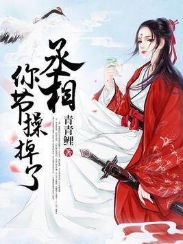 丞相，你節操掉了