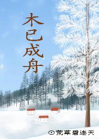 木已成舟