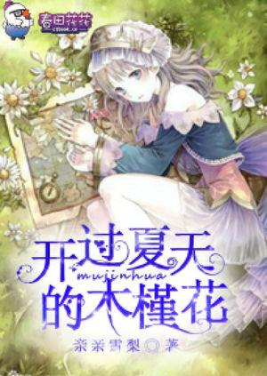 開過夏天的木槿花