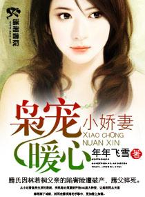 枭寵暖心小嬌妻