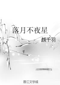 落月不夜星