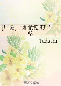 [扉斑]一廂情願的罪孽