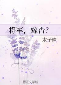 将軍，嫁否？