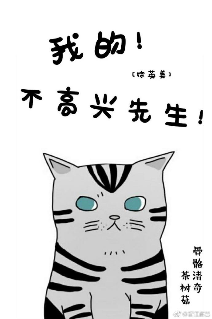 我的不高興先生