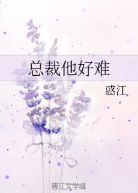 總裁他好難
